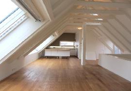 Luxury penthouse with roof terrace, 1st District (Innere Stadt) - Austria - Vienna