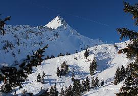 Real estate in Austria - Excellent Ski and Spa Hotel in Kleinwalsertal For Sale - Kleinwalsertal - Vorarlberg