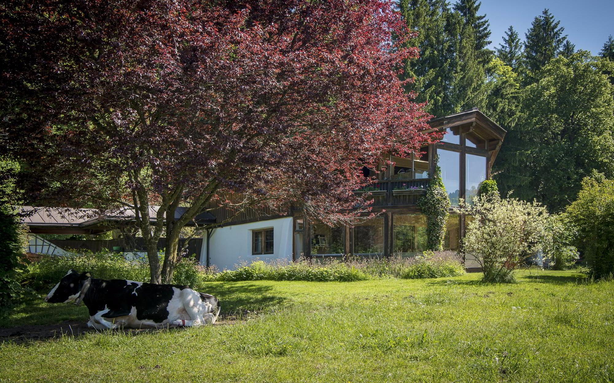 Загородный дом в Австрийских Альпах на солнечном склоне на продажу, Гойнг-ам-Вильден-Кайзер