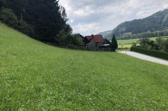 Building plot near Schladming for Sale